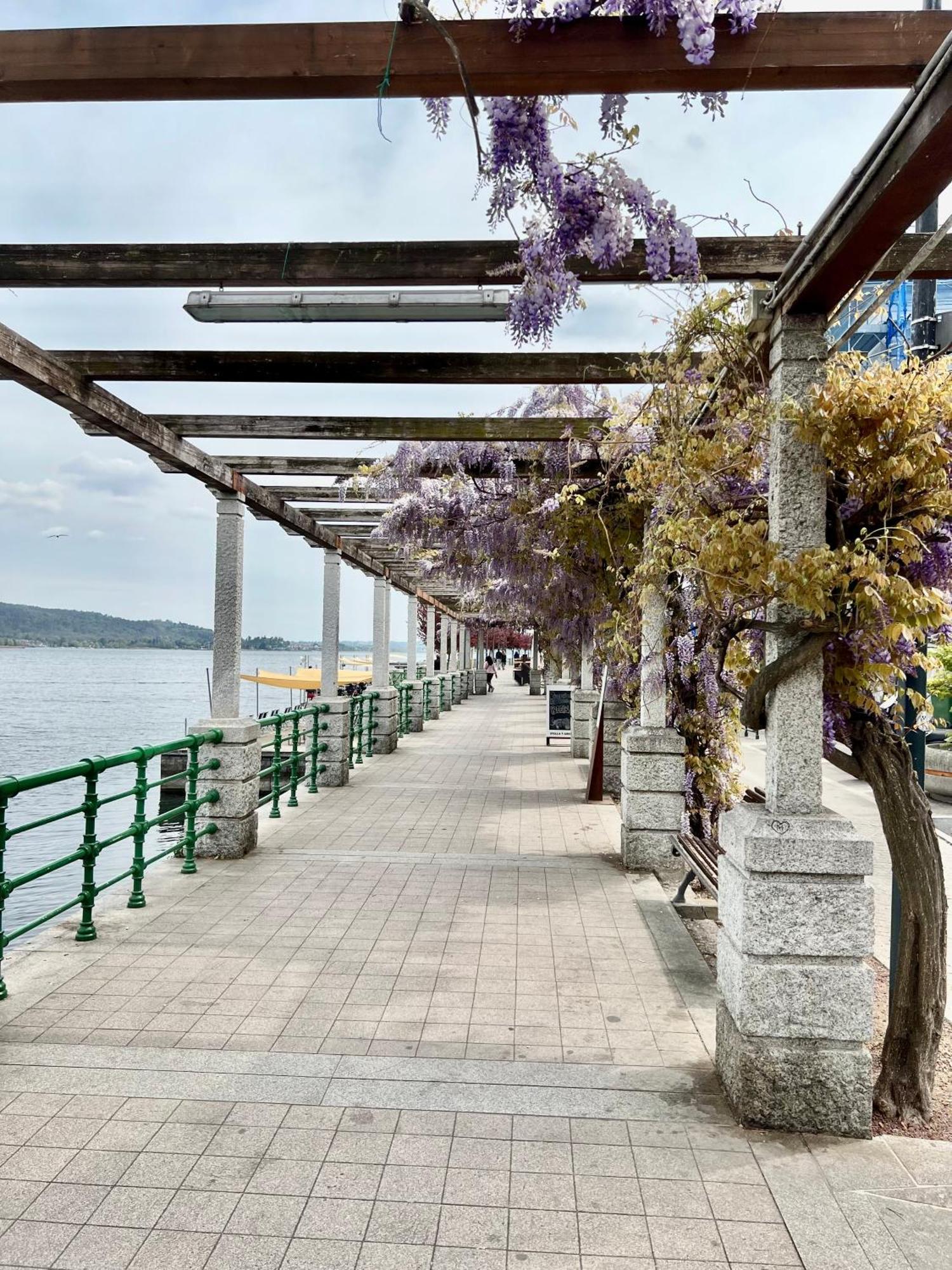 Casa Sul Lago 阿罗纳 外观 照片